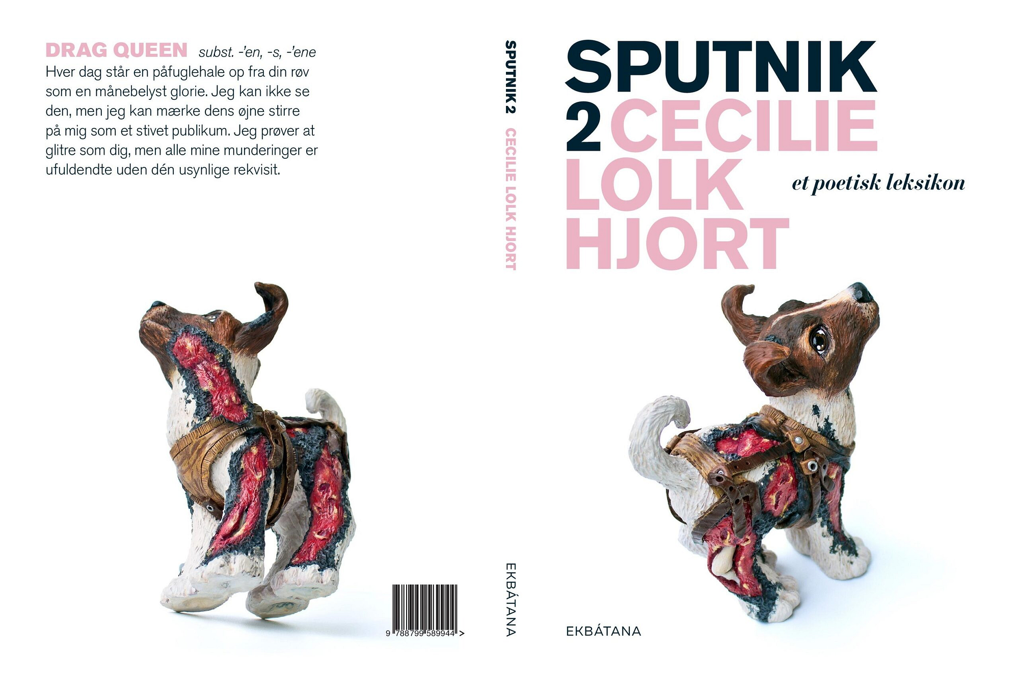 release på sputnik 2, Cecilie Lolk Hjort, Sputnik 2, poetisk leksikon, Galathea kroen
