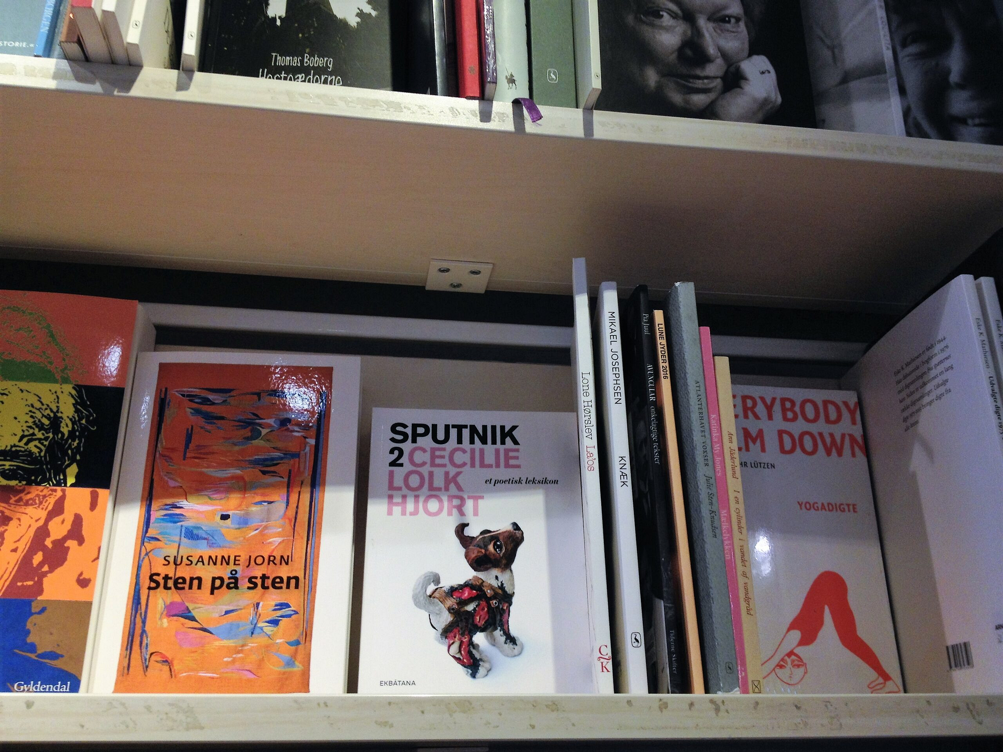 poetisk leksikon, arnold busck, Sputnik 2, Cecilie lolk hjort, boghandlere